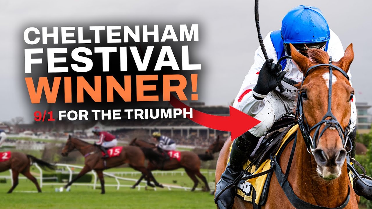 These Horses from Cheltenham Trials Day Will WIN at the Festival!
