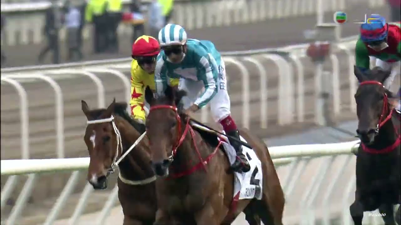 20/03/2022 香港打吡大賽 HONG KONG DERBY ２０２２ 浪漫勇士 (E486) 田泰安