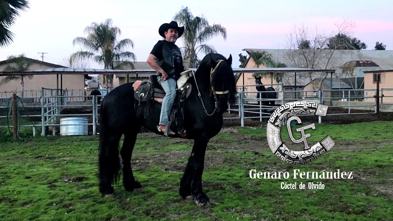 Genaro Fernandez   Coctel de Olvido