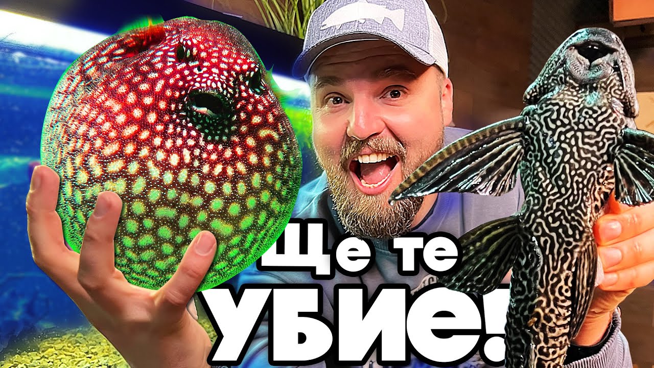КУПИХМЕ НАЙ-ОТРОВНАТА РИБА за АКВАРИУМ!!!