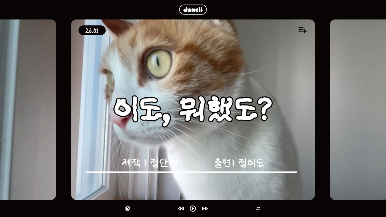 [26.01] 이도, 뭐했도? | 새해 고양이 일상 😺
