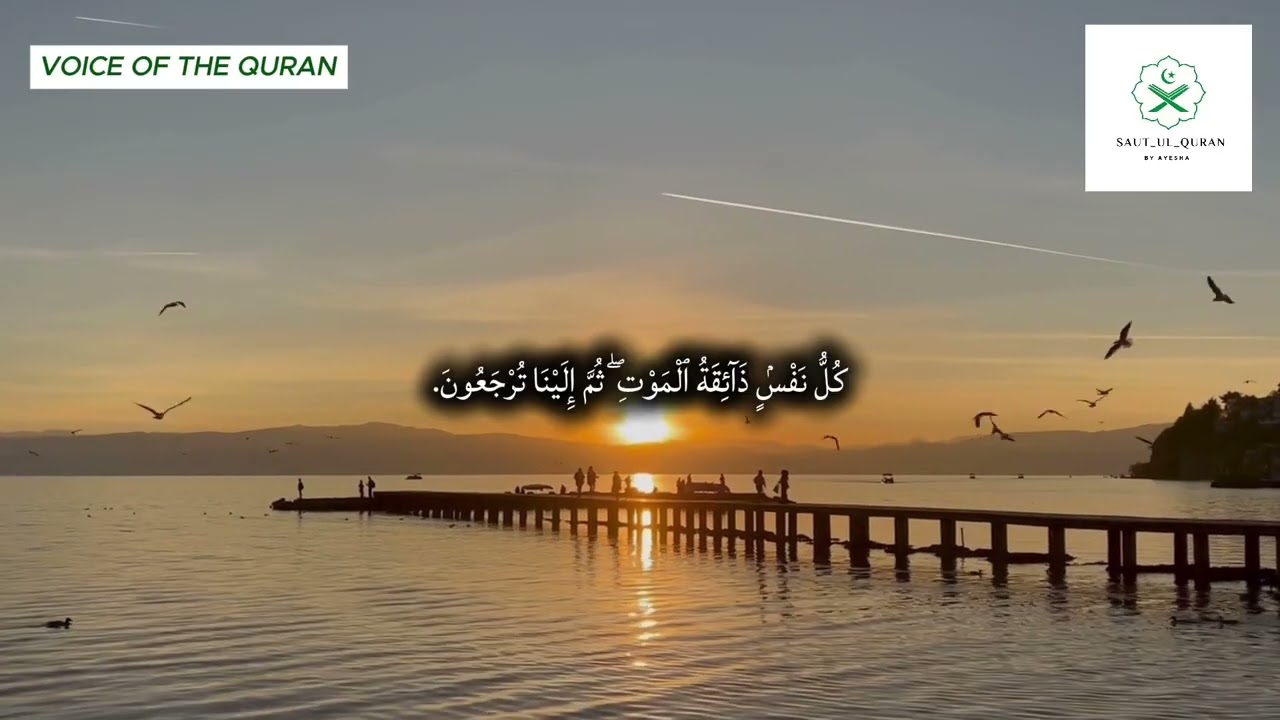 Surah Al-Ankabut | 46 - 69 |