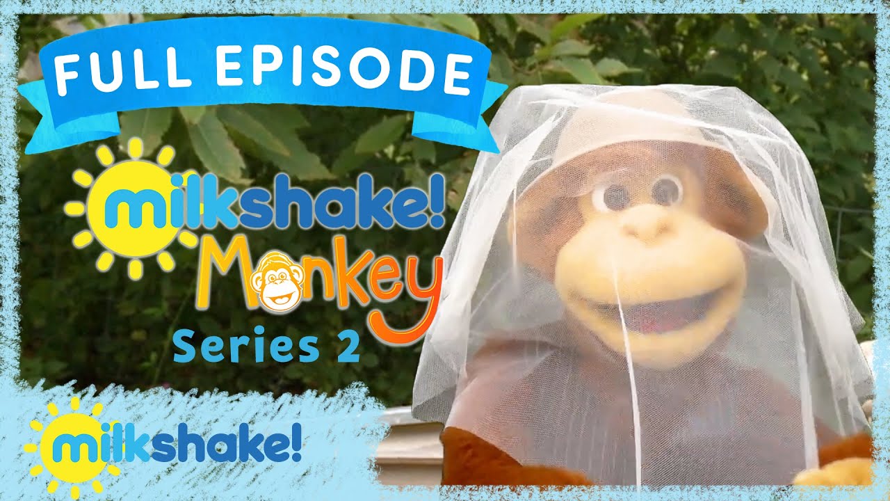 Milkshake! Monkey | Busy as a Bee | Full Episode