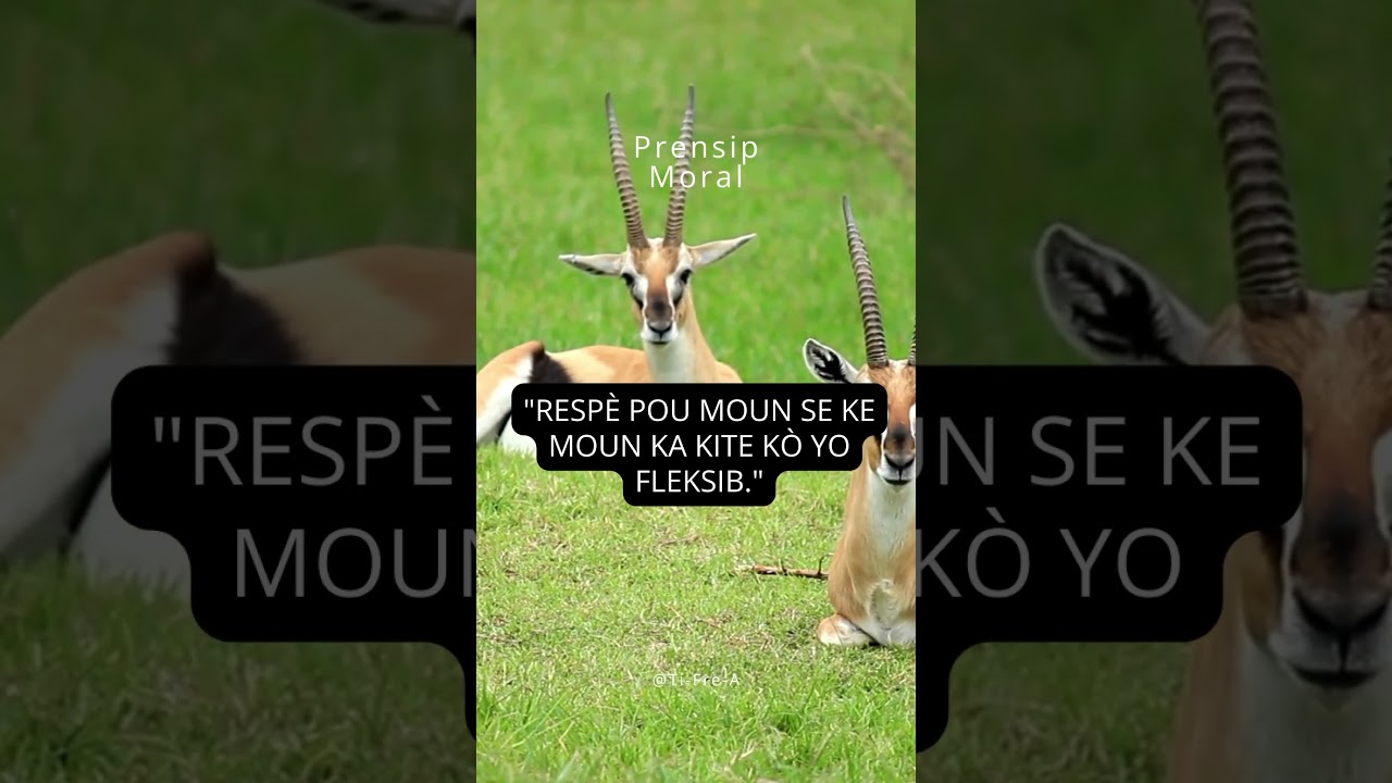 Prensip Moral #music #motivation #quotes #feytonhaitien