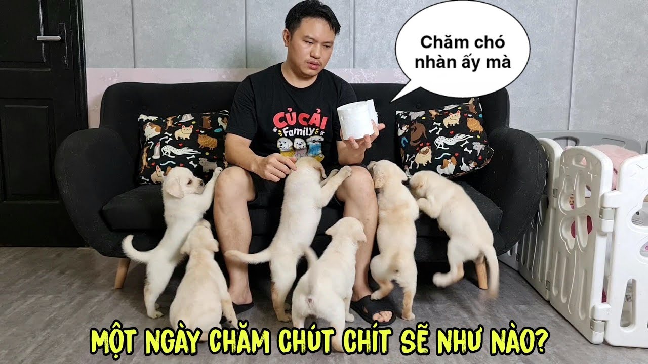 Một ngày chăm Chút Chít sẽ như thế nào  - có nhàn như lời đồn ko?