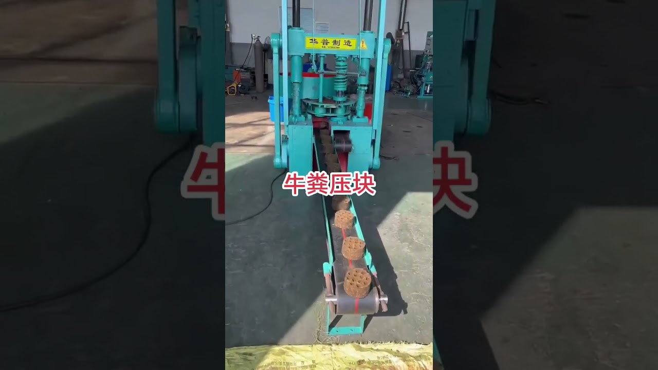 We offer animal manure cow dung coal briquette briket making machine WhatsApp:+86 132 7158 6106