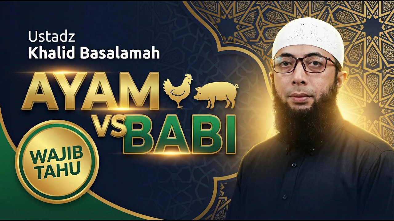INI ALASANNYA! Perbedaan Mencolok Sifat Ayam dan Babi - Ustadz Khalid Basalamah