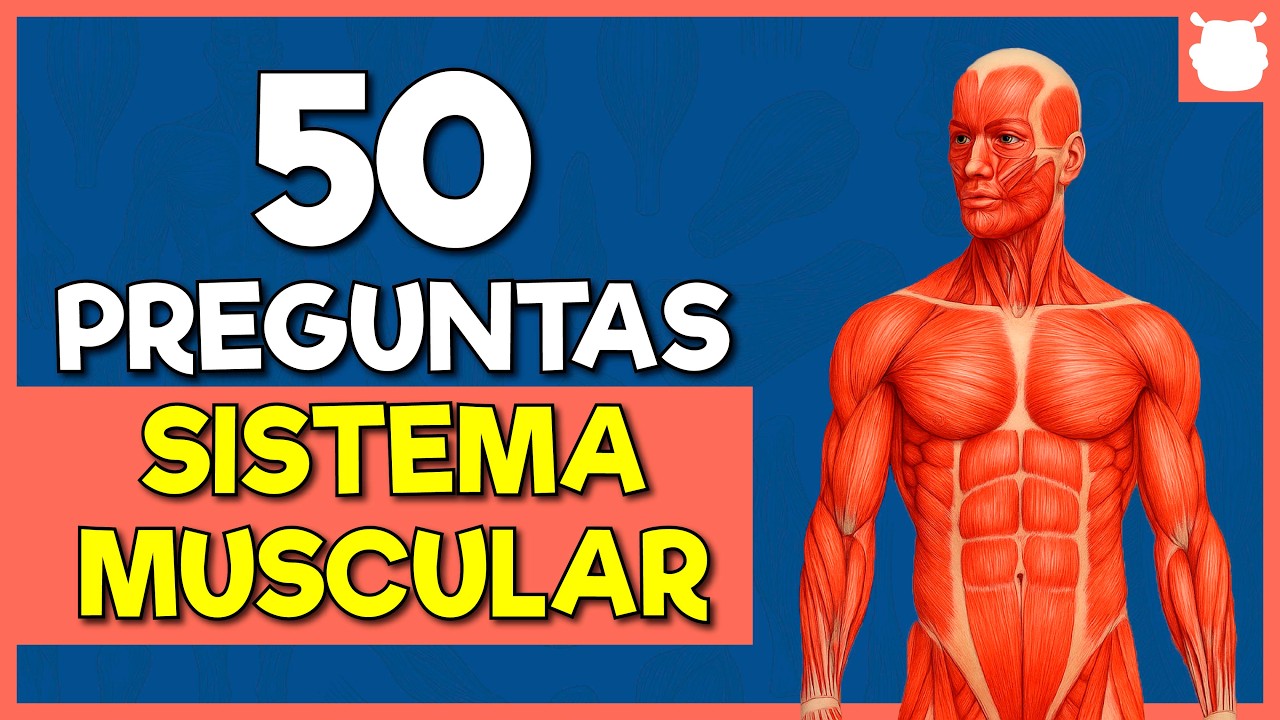 50 Preguntas sobre el Sistema Muscular | Trivia de Anatomía Humana