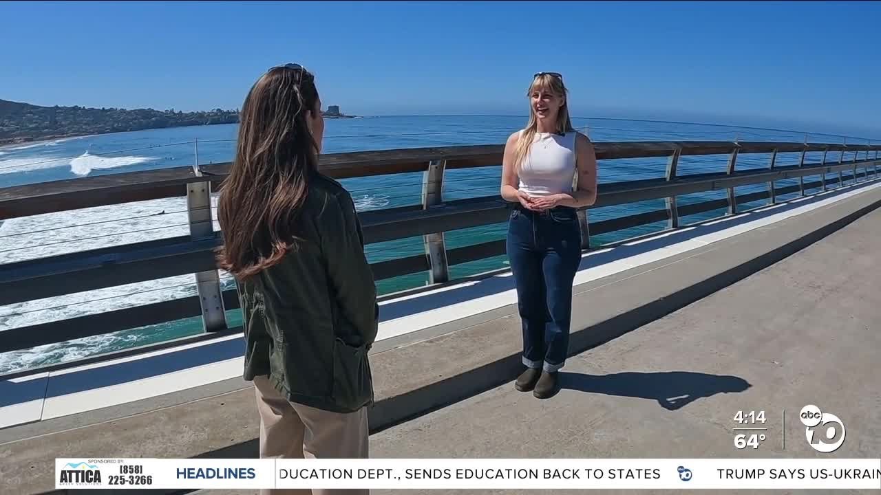 Velella return to La Jolla shores, offering research opportunity at Scripps Pier