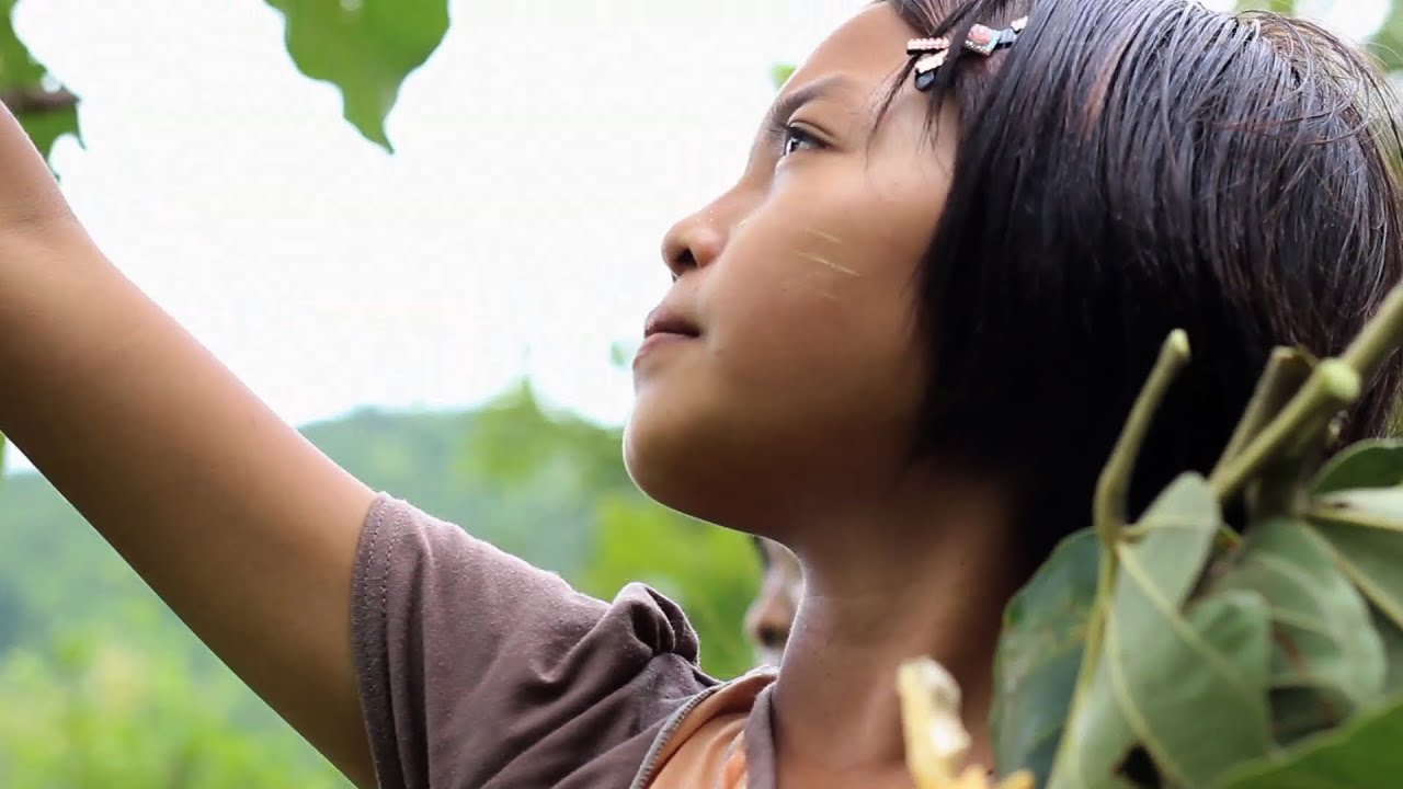 Voices of the Forest: Myanmar