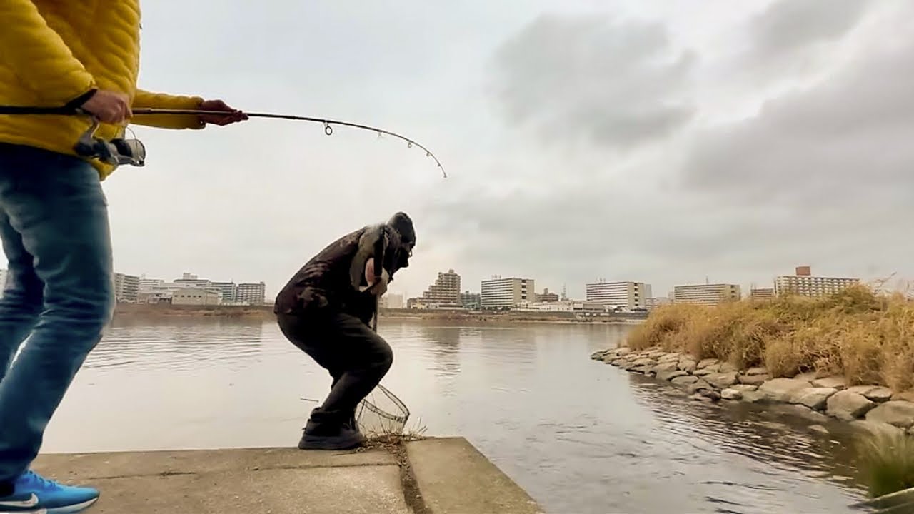Hier stehen die Fische gestapelt! Bester Angelspot!