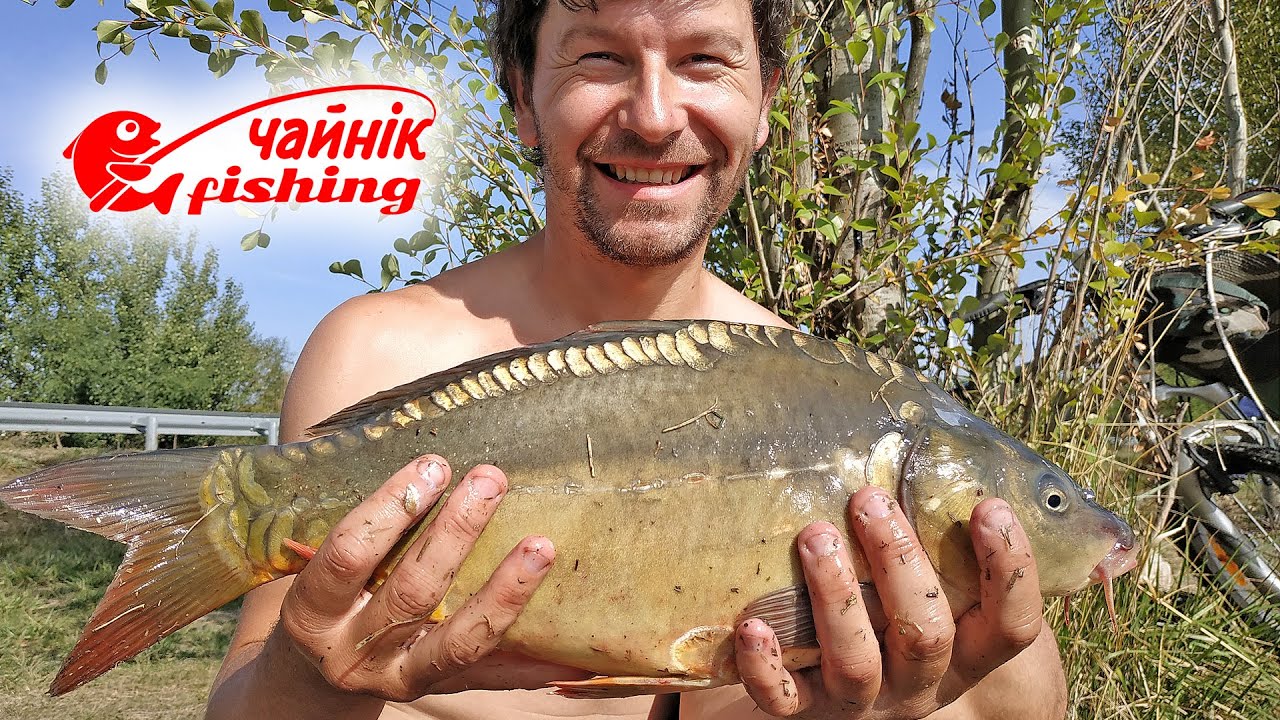 Рибалка на коропа вночі у вересні.
