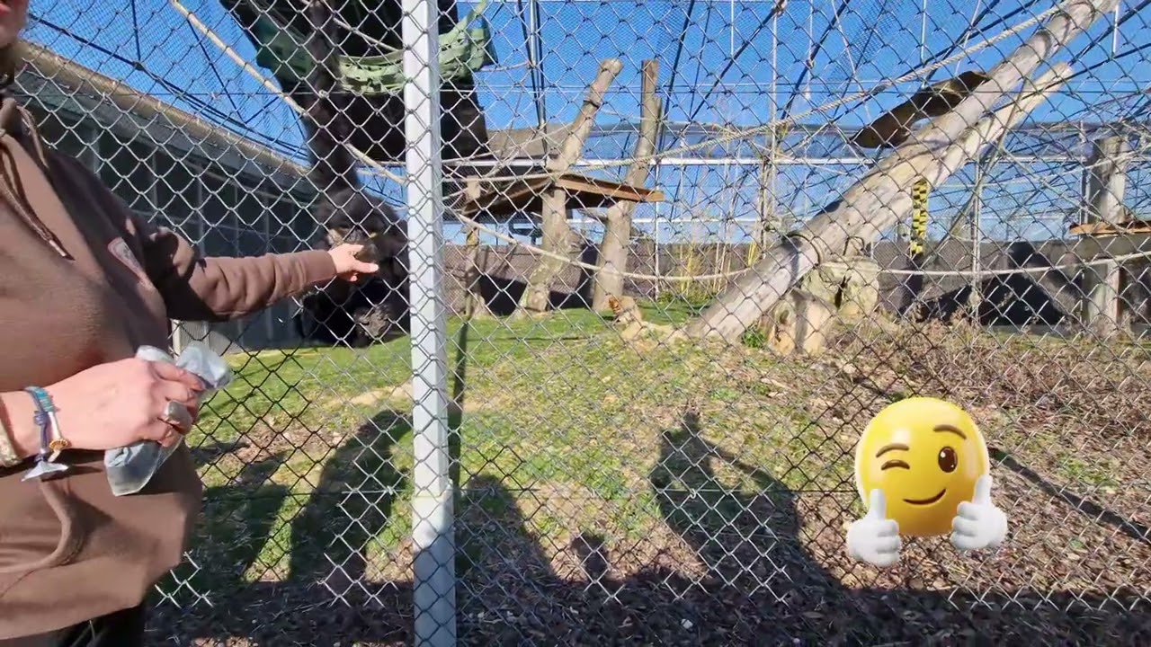 Le refuge,  la Tanière....entretien avec une soigneuse...