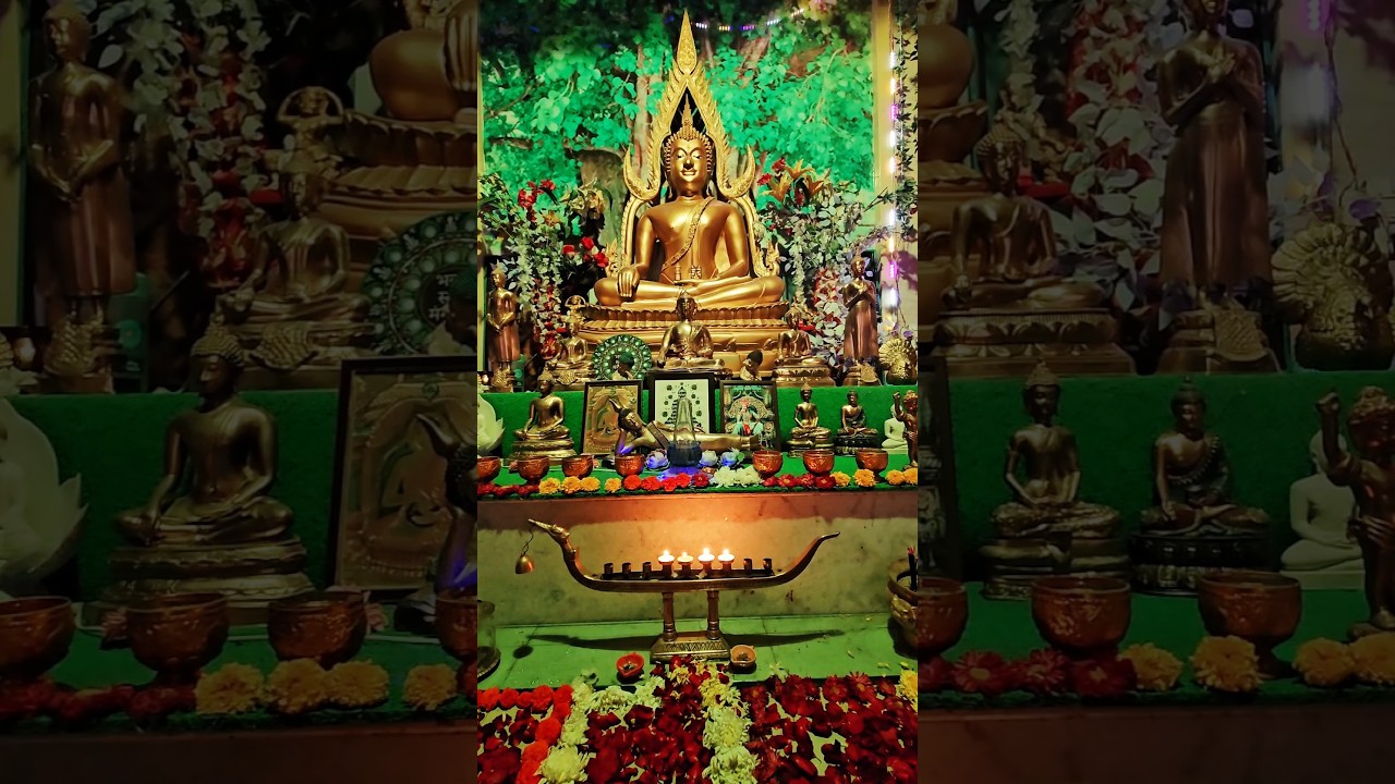 buddham saranam gacchami 🪷 | #buddha #minivlog #meditation #mindfulness #cricket #shorts #peace
