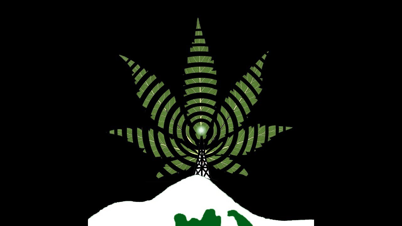 Greenrush Chronicles Ep 2