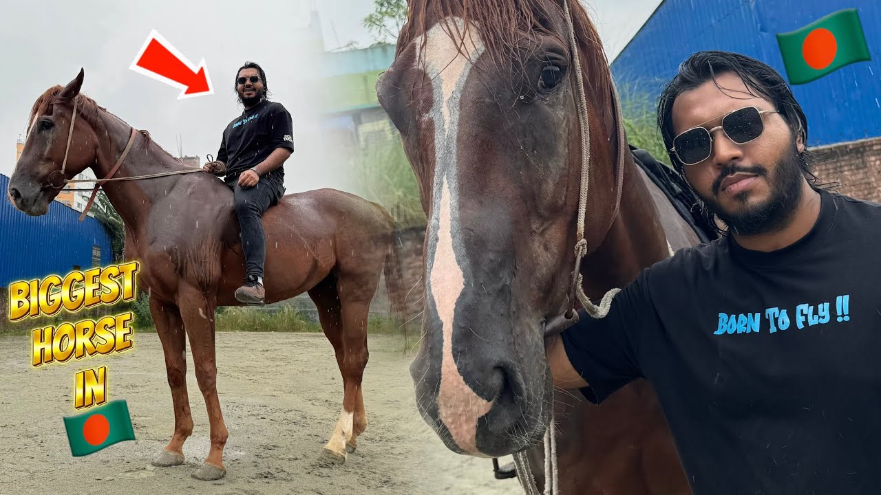 দেশের সবচেয়ে বড় ঘোড়া,,,শিখলাম ঘোড়া চালানো ।Horse Riding | Doggo Sage 
