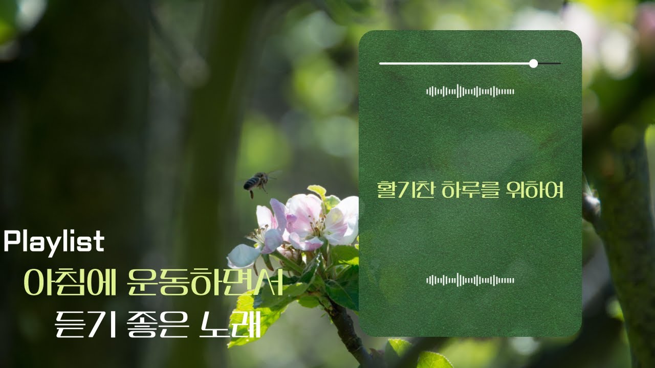 [playlist] 아침에 운동하면서 듣기 좋은 노래, 활기찬 하루를 위하여, 듣기만 해도 기분이 좋아지는 노래