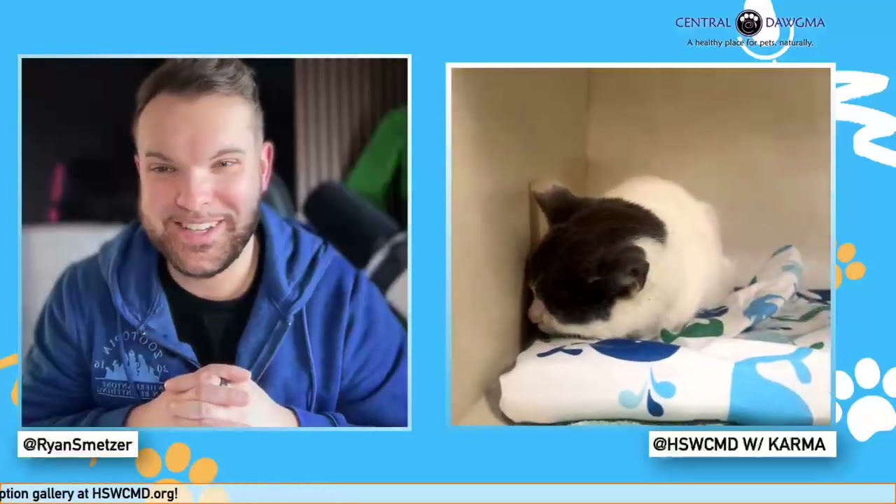 The Pawcast 1/7: Karma
