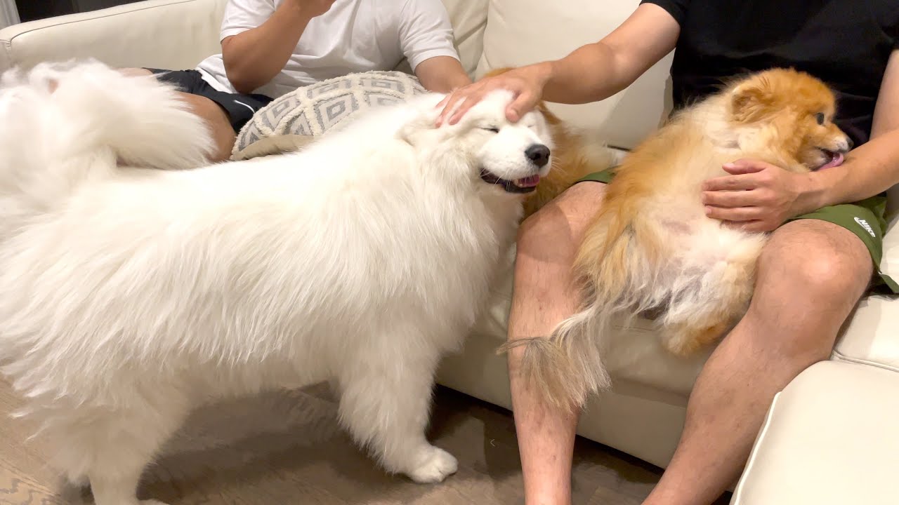 MochaMilk's favourite family member (it's not daddy)