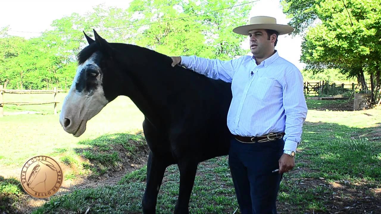 ESQUINAZO
