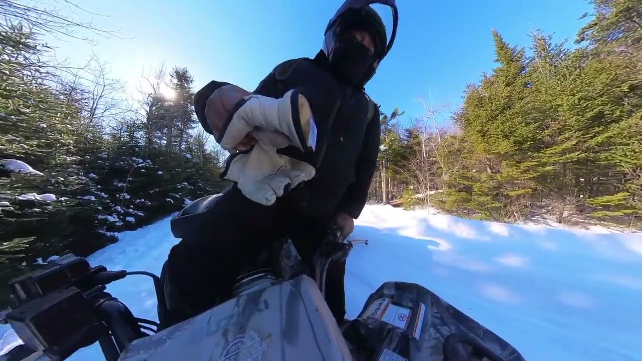 Snow Rippin'