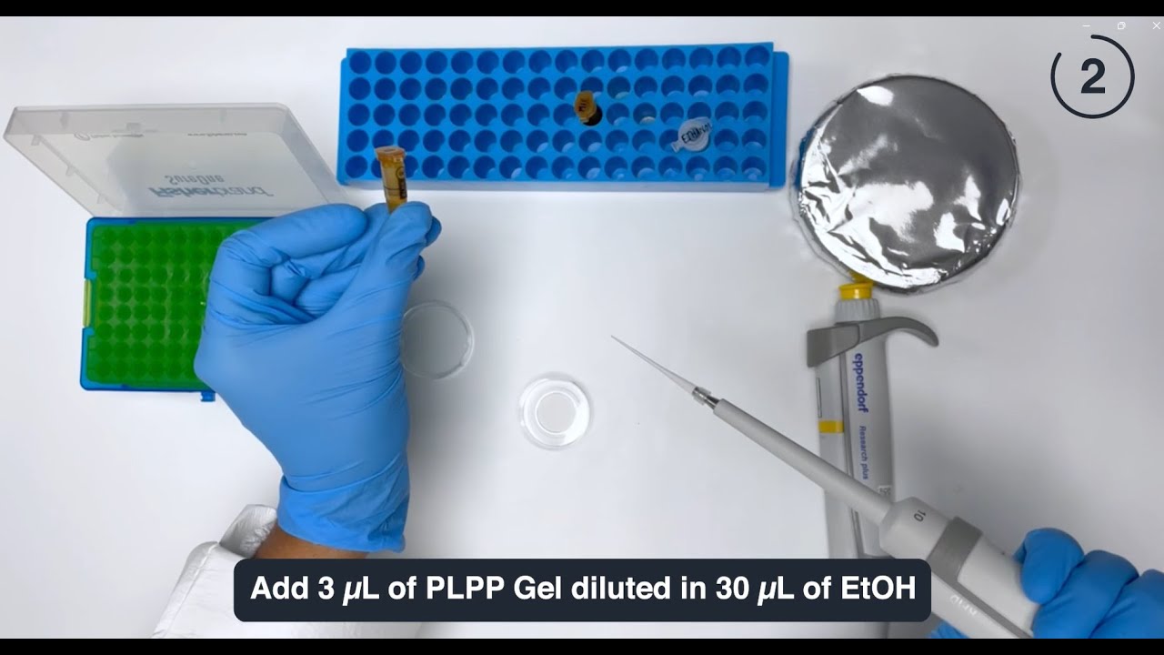 Tutorial: Micropatterning of proteins with PRIMO