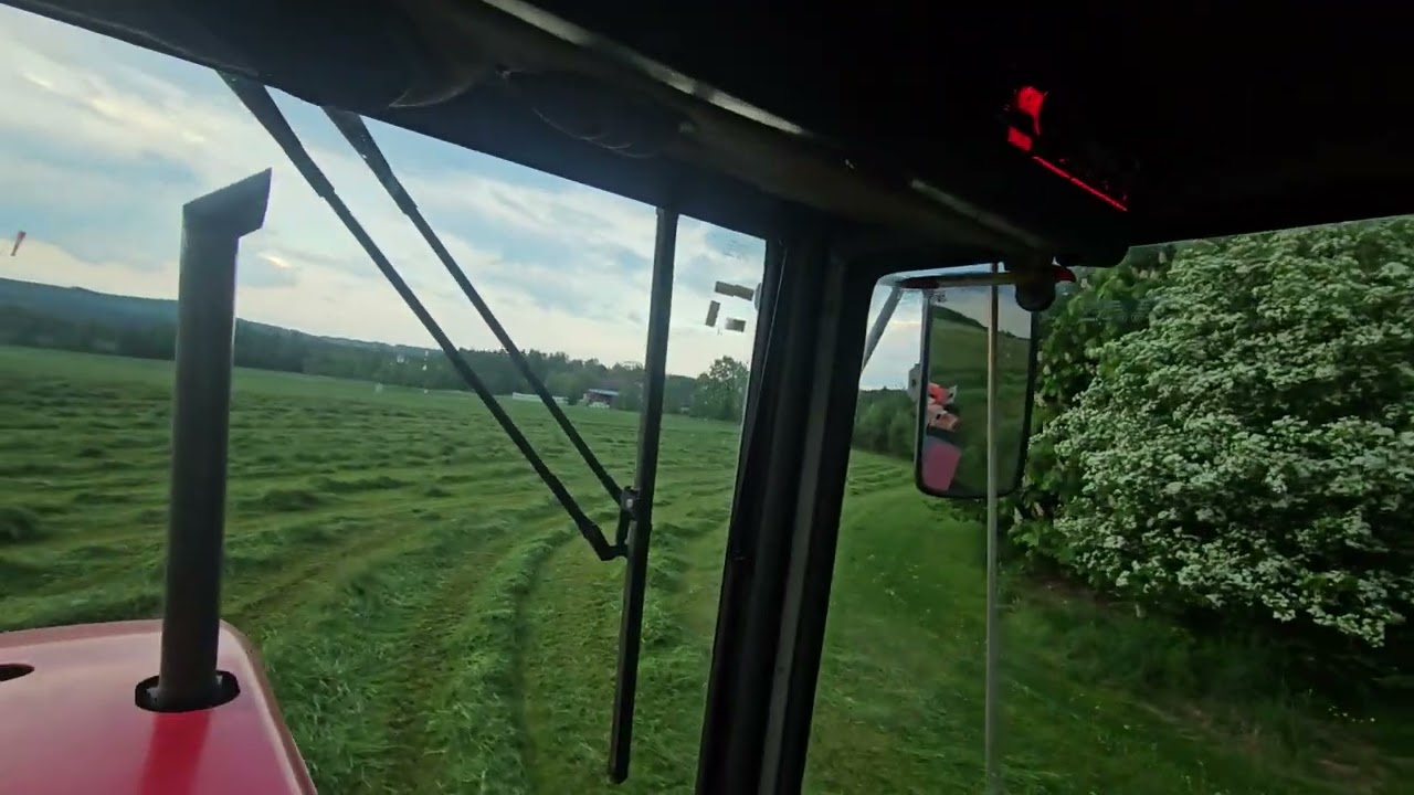 Mowing the Grass - Season 2k25                           MF 3655 and Kuhn Alterna 500 R