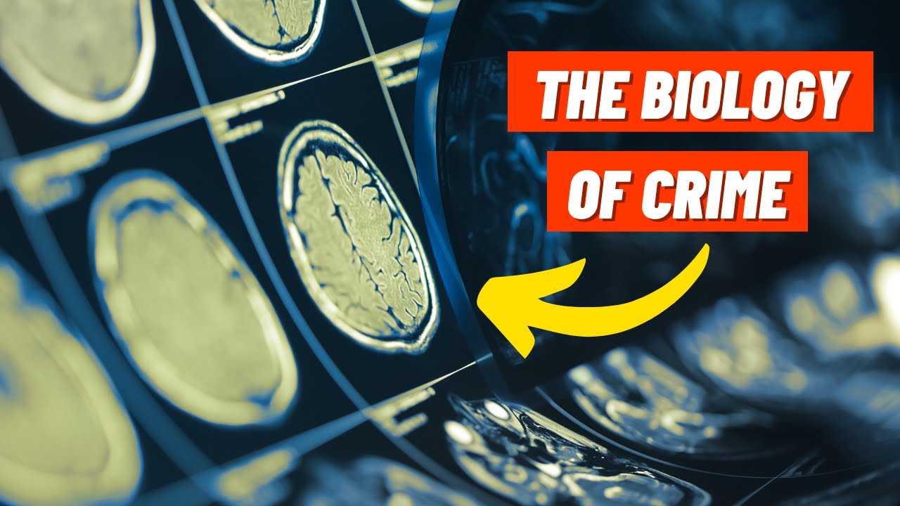 Убийцами рождаются или становятся? | Биологические объяснения преступлений (AQA A-level Psychology)