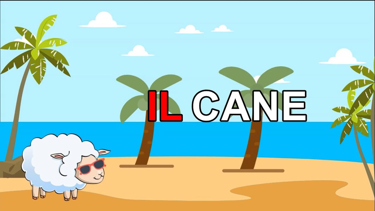 Gli articoli scuola primaria