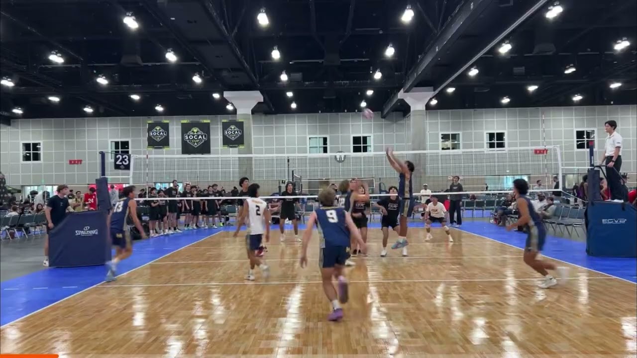 OCC Showcase Highlights