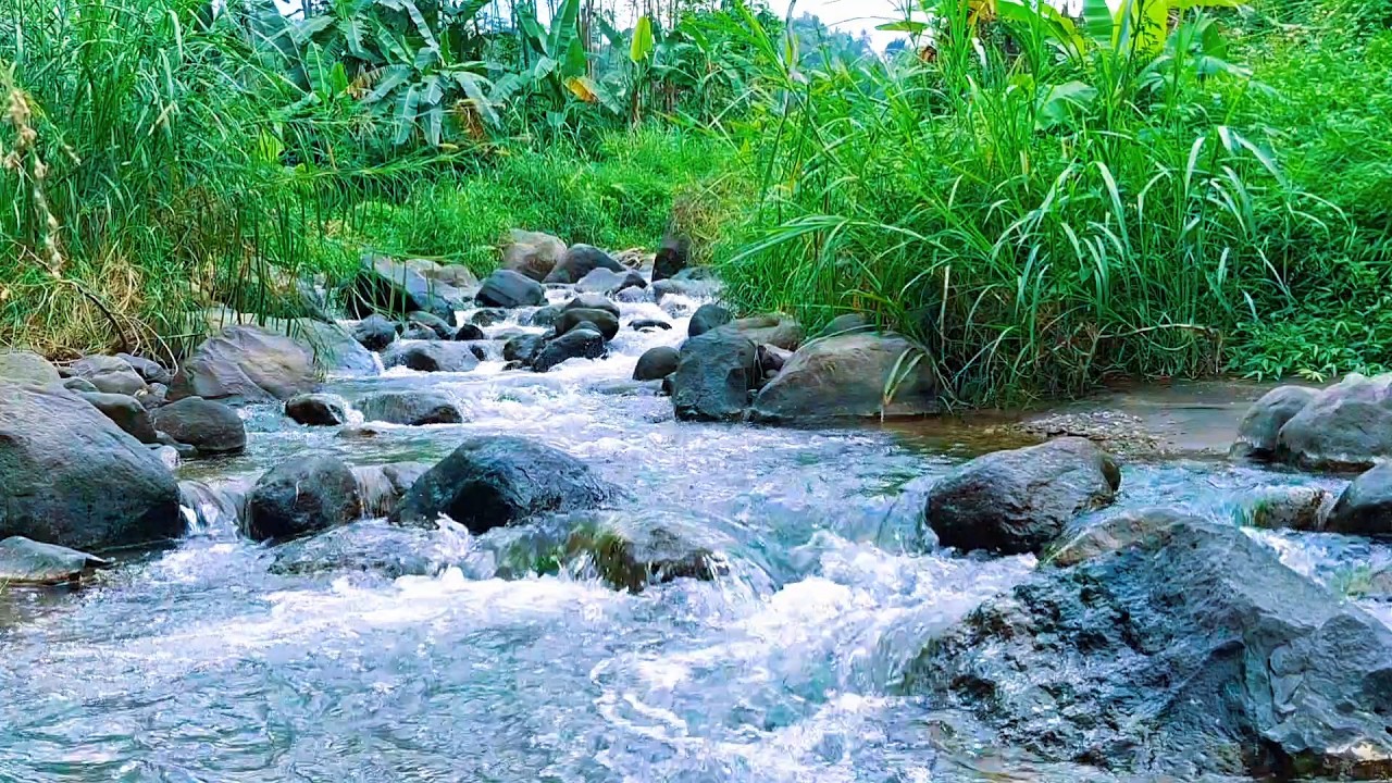 Peaceful River Sounds for Relaxing Nights