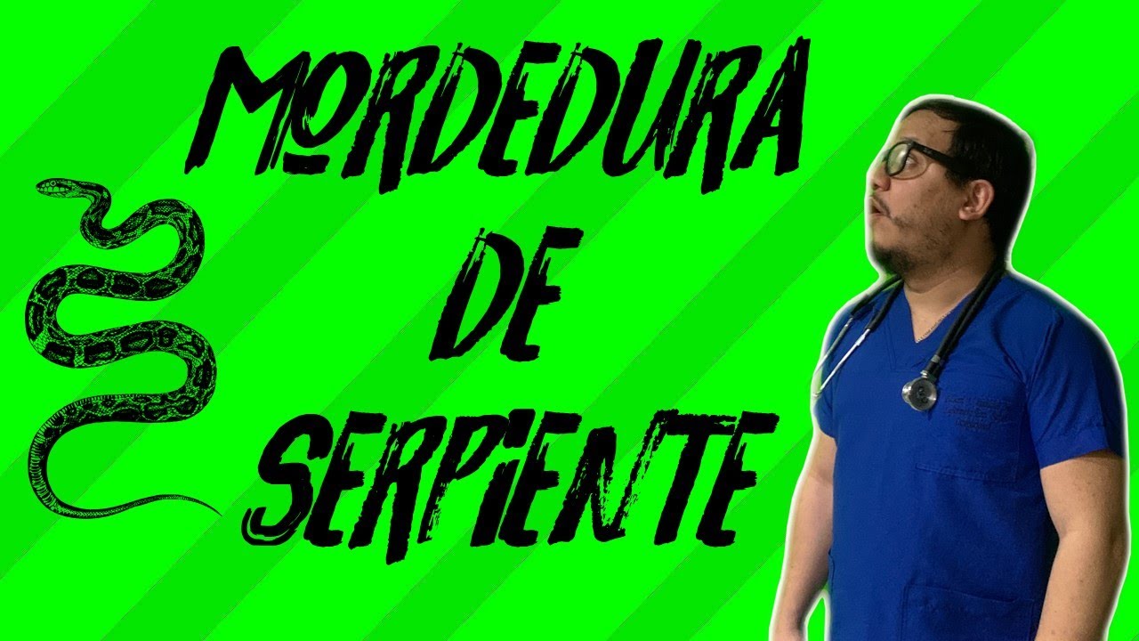 🐍¿QUE HACER FRENTE A UNA mordedura de serpiente ✔ Primeros auxilios😲 ACCIDENTE OFIDICO MANEJO🐍