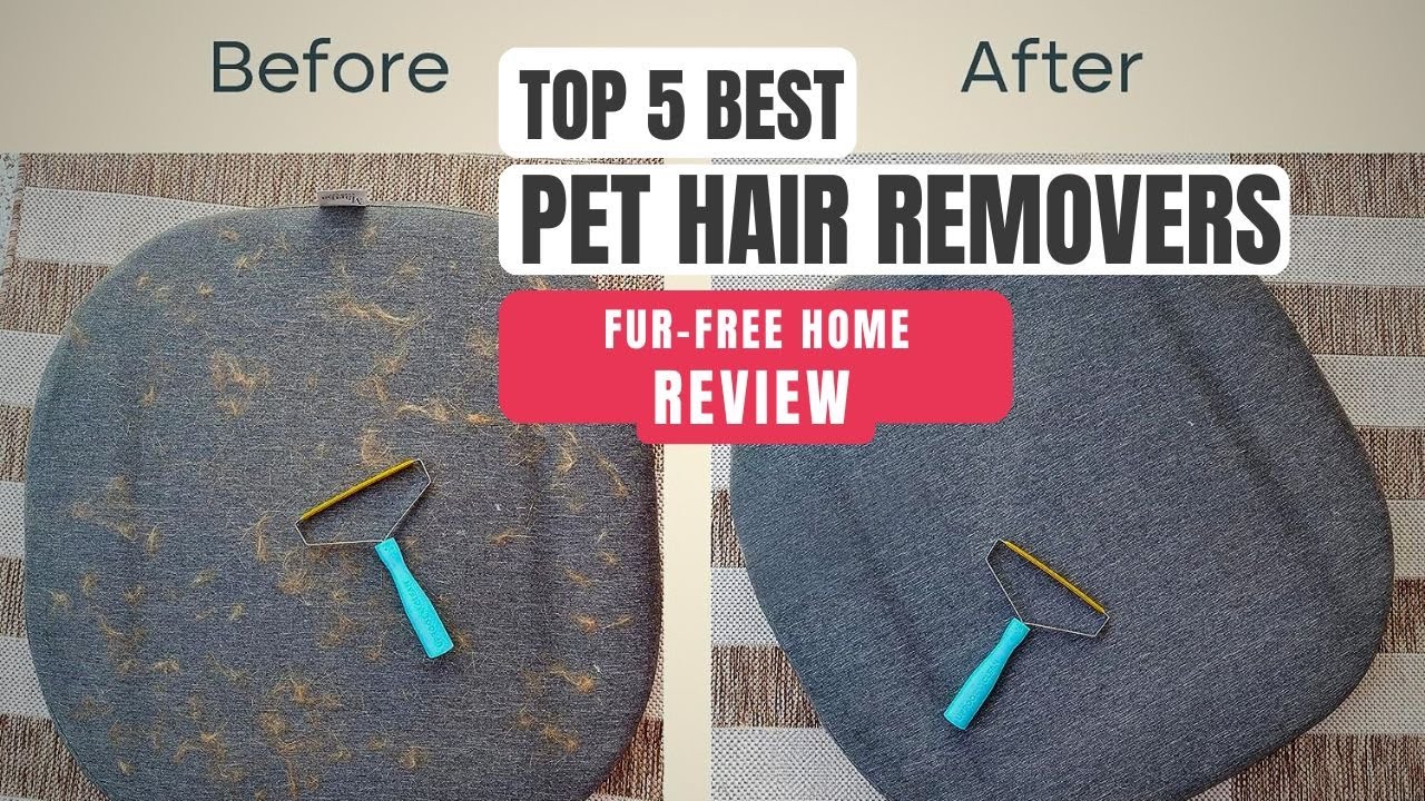 Top 5 Pet Hair Removers of 2023: for a Fur-Free Home