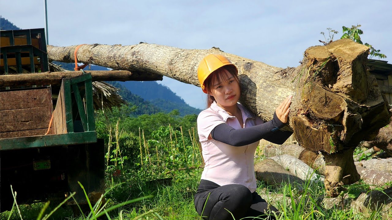 Agricultural vehicles, a time-rewind video by Ngoc Hoa - please enjoy!
