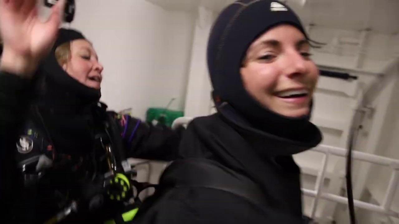 Polar diving, the sexiest sport I know!