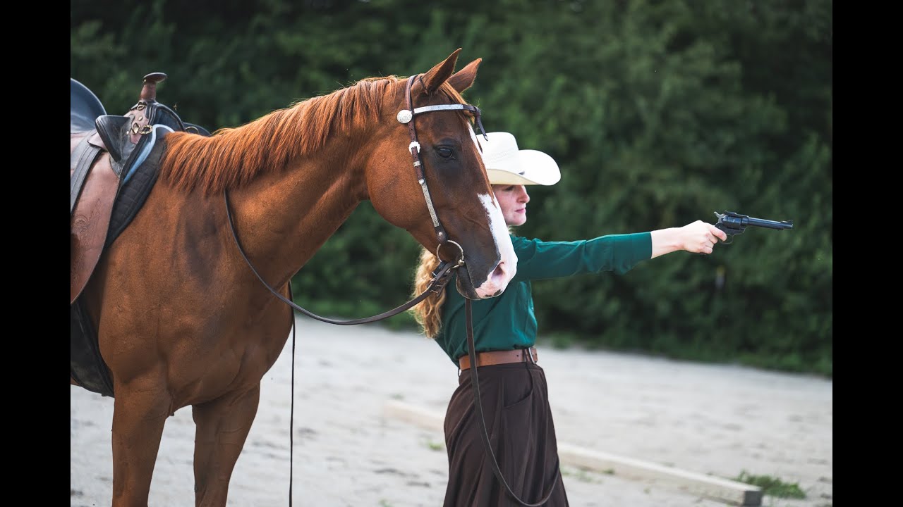 AVA, Criollo/ Thoroughbred All Around Performance Horse Now Sold.