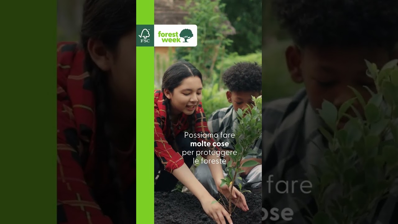 FSC Forest Week è iniziata!