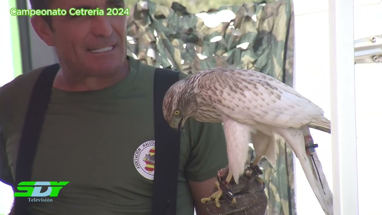 Campeonato Cetrería 2024