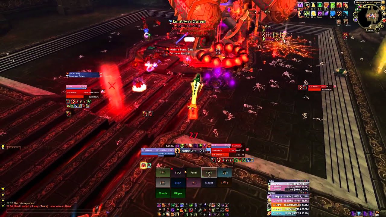 Throne of Thunder: Dark Animus 10M Heroic