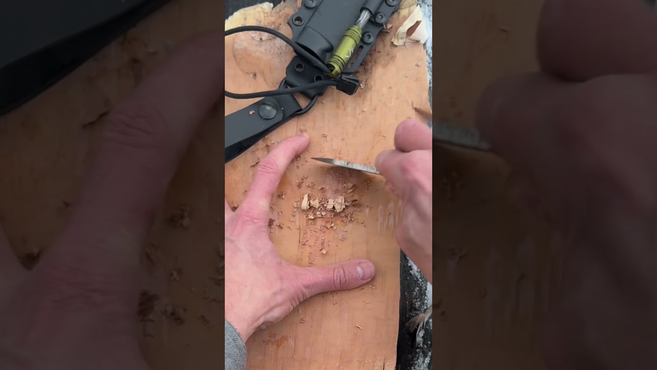 How to start a fire using Birch bark. #bushcraft #bushcraftskills #prepperskills