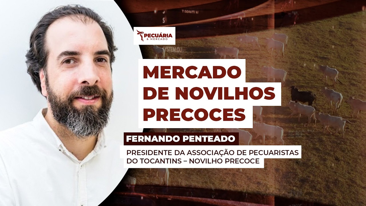 A criação de Novilhos Precoces vem ganhando destaque na pecuária brasileira para atender uma nova...