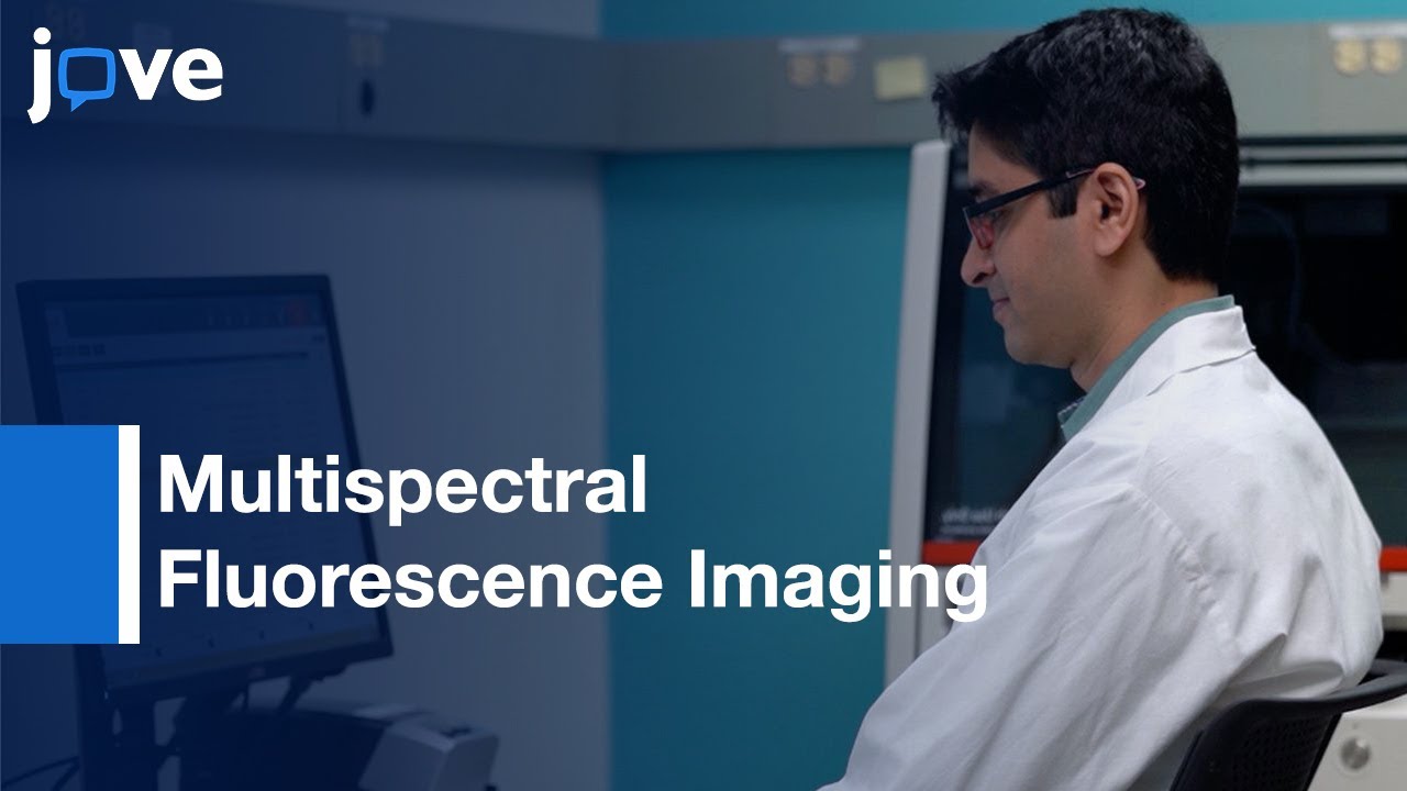 Multispectral Fluorescence Imaging of Frozen Tissue Sections | Protocol Preview