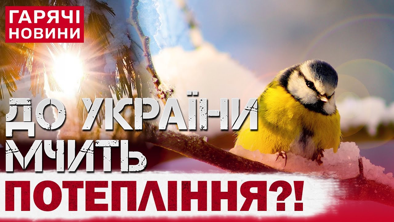 ПРОГНОЗ ПОГОДИ НА 22 СІЧНЯ: ДЕ БУДЕ ЛЮТИЙ МОРОЗ? МЕМ ДНЯ! ЯКЕ СЬОГОДНІ СВЯТО?