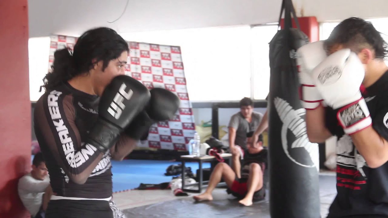 Bonebreakers listos para el reto en Brasil