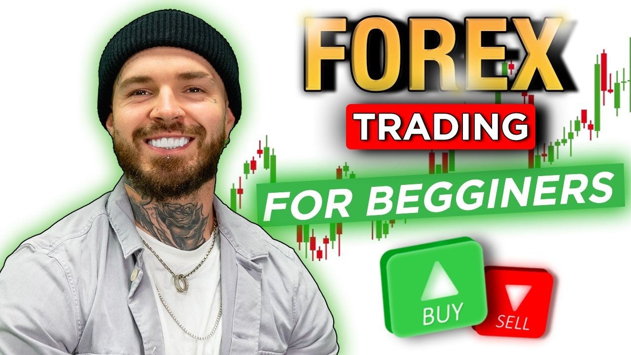 Полное руководство для начинающих по FOREX!