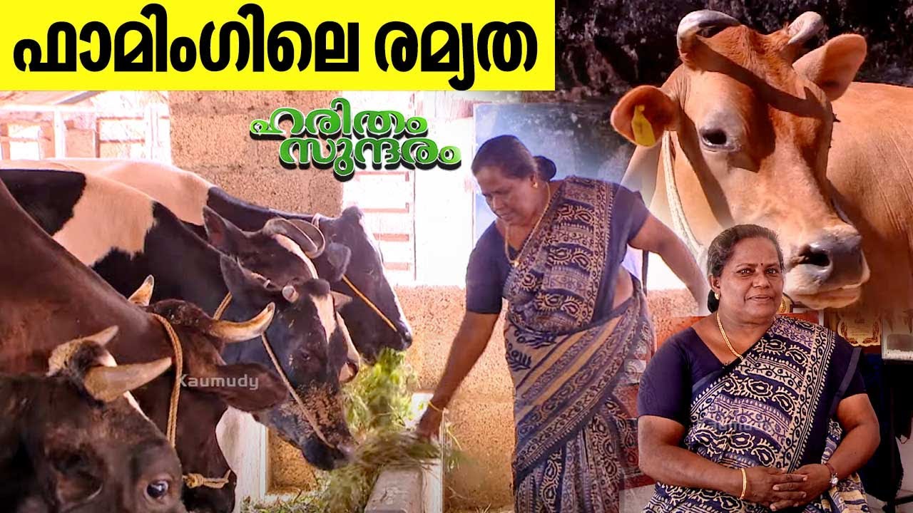 വെറ്ററിനറി ഡോക്ടർ രമയുടെ വിജയ രഹസ്യം | Veterinary Doctor Rema | Haritham Sundaram EP 473
