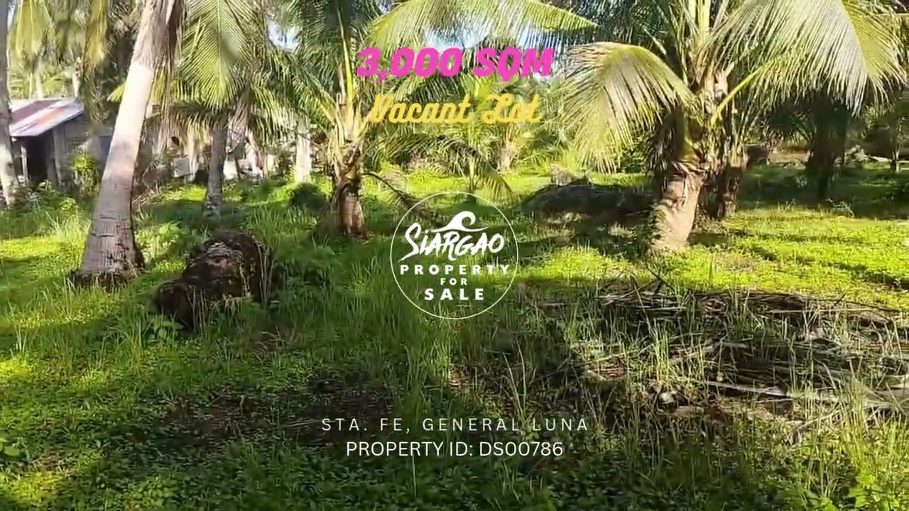 3,000 SQM Lot For Sale Sta. Fe General Luna Siargao #siargaoproperties #siargaoproperty