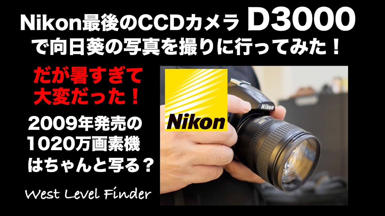 【Nikon最後のCCDカメラ】D3000で写真を撮る！2009年発売の1000万画素カメラはちゃんと写る？【本当に高いカメラは必要？】 #オールドカメラ  #nikon #ニコン