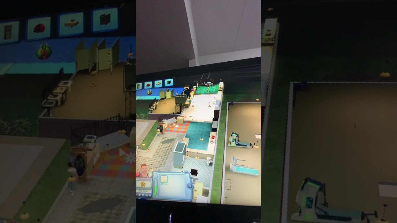 The SIMS .suomi