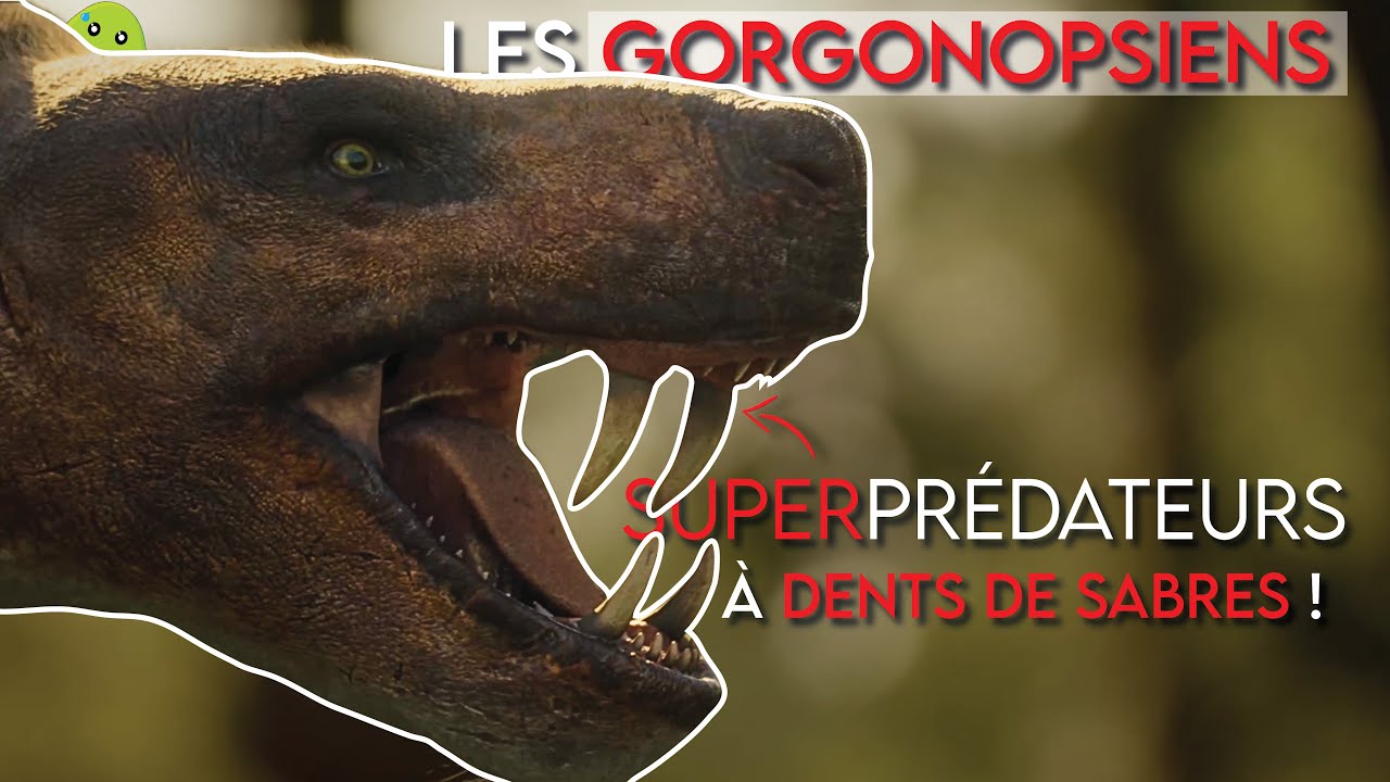 Les GORGONOPSIENS : pr&eacute;dateurs ULTIMES d'avant les DINOSAURES !